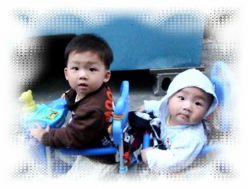 丁丁和弟弟的成長日記