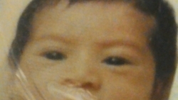 林子誠小時候的照片