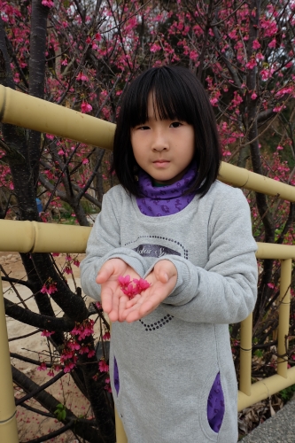 我的寶貝-林歆語